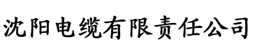 AV无码免费播放电缆厂logo